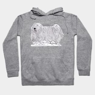 Walking Mop Dog Hoodie